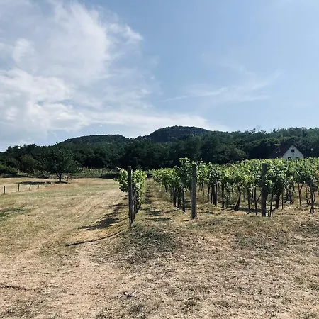 Badacsony Hegyen Ket Haloszobas Haz Case de vacanță