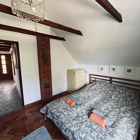 Case de vacanță Badacsony Hegyen Ket Haloszobas Haz Nemesgulács