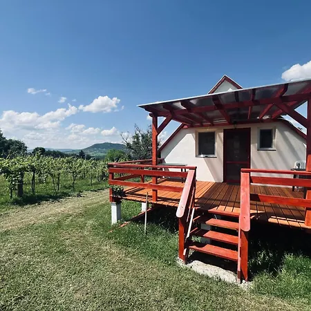 Badacsony Hegyen Ket Haloszobas Haz Nemesgulács