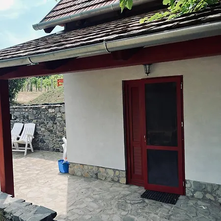 Badacsony Hegyen Ket Haloszobas Haz