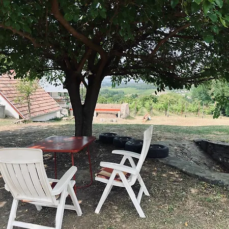 Badacsony Hegyen Ket Haloszobas Haz Case de vacanță Nemesgulács