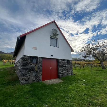 Badacsony Hegyen Ket Haloszobas Haz Case de vacanță *